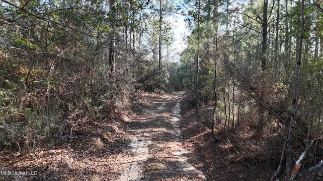 Trails 32 | Image 18