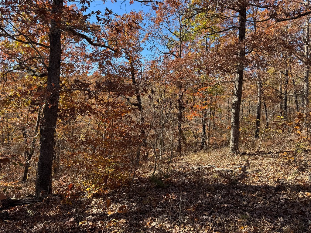 Land in Kingston 5