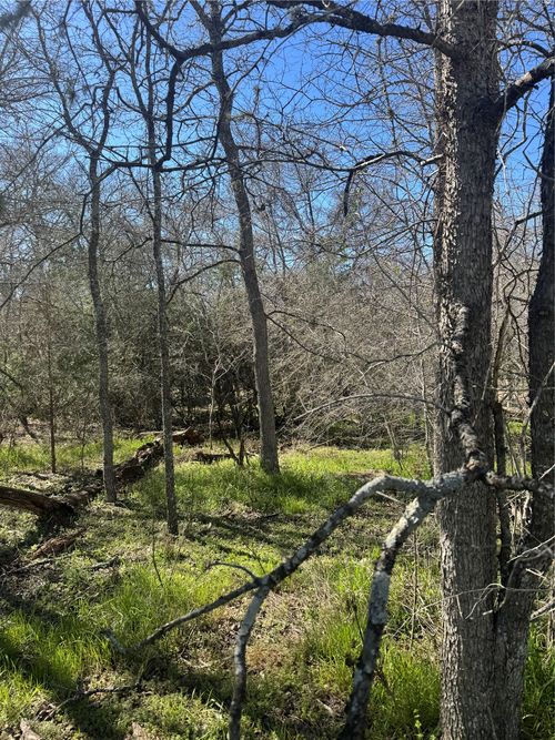 289 Iva Ln, Bastrop, TX, 78602-4405 | Card Image