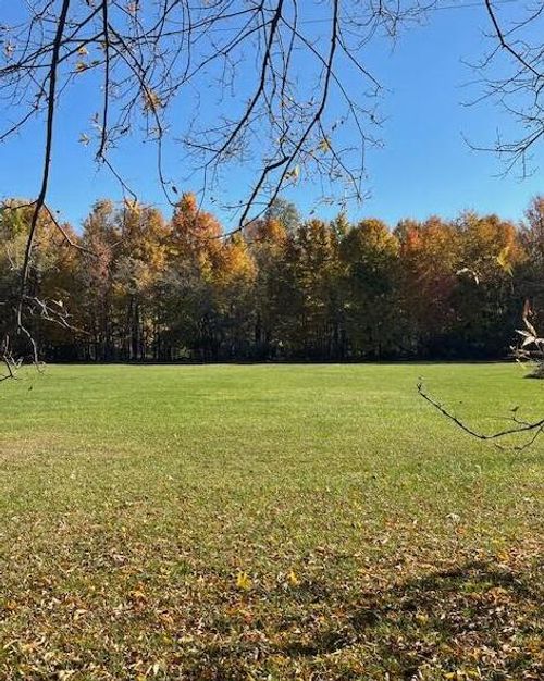 V/L County Road 215, Lawrence, MI, 49064 | Card Image