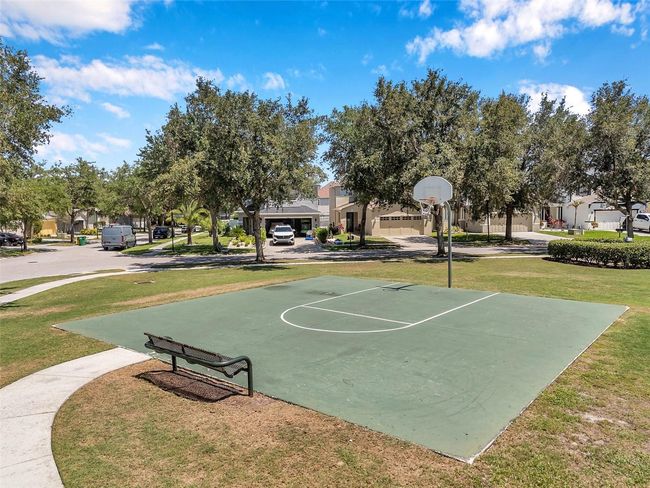 7103 Bridgeview Dr, House other with 3 bedrooms, 2 bathrooms and null parking in WESLEY CHAPEL FL | Image 59