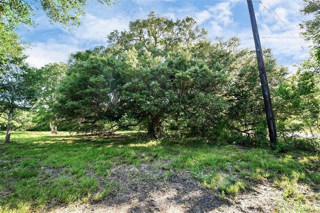 0 Patterson Rd, Home with 0 bedrooms, 0 bathrooms and null parking in Manvel TX | Image 5