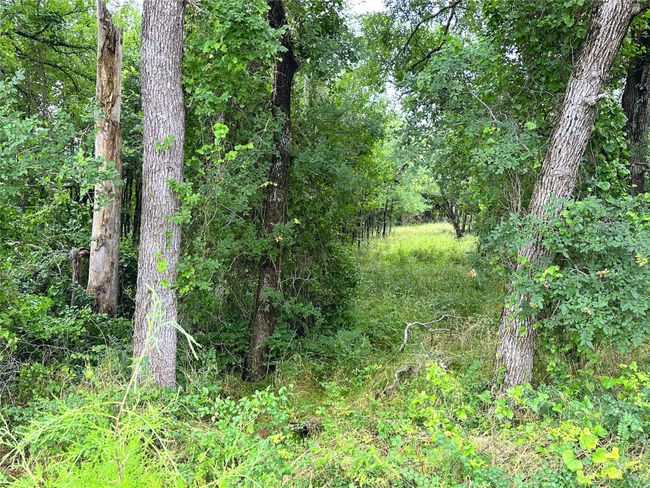 Lot 6 & TBD BTSLP# Emerald Lane, Home with 0 bedrooms, 0 bathrooms and null parking in Corsicana TX | Image 36