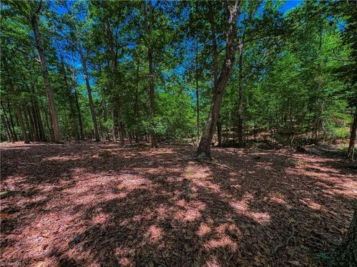 1560 Rocky Cove Ln, Denton, NC, 27239-7251 | Card Image