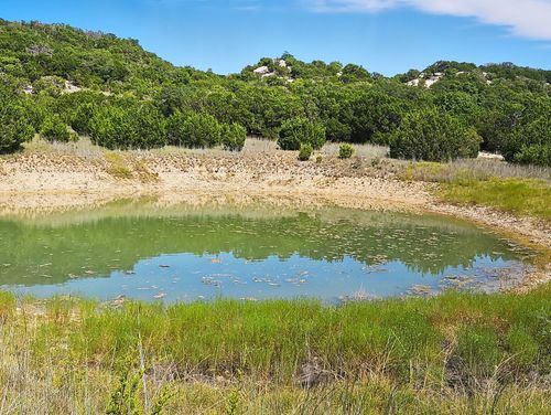 TBD-17.6 Acres Fm 1690, Gatesville, TX, 76528 | Card Image