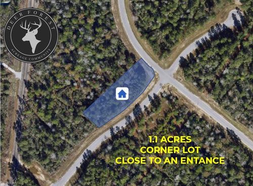 127 Gypsum Rd, New Waverly, TX, 77358 | Card Image
