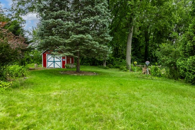 Level Yard! | Image 37