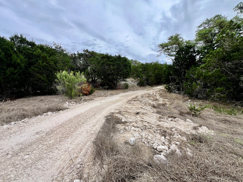 Land in Kerrville 2