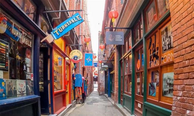 Fan Tan Alley | Image 45