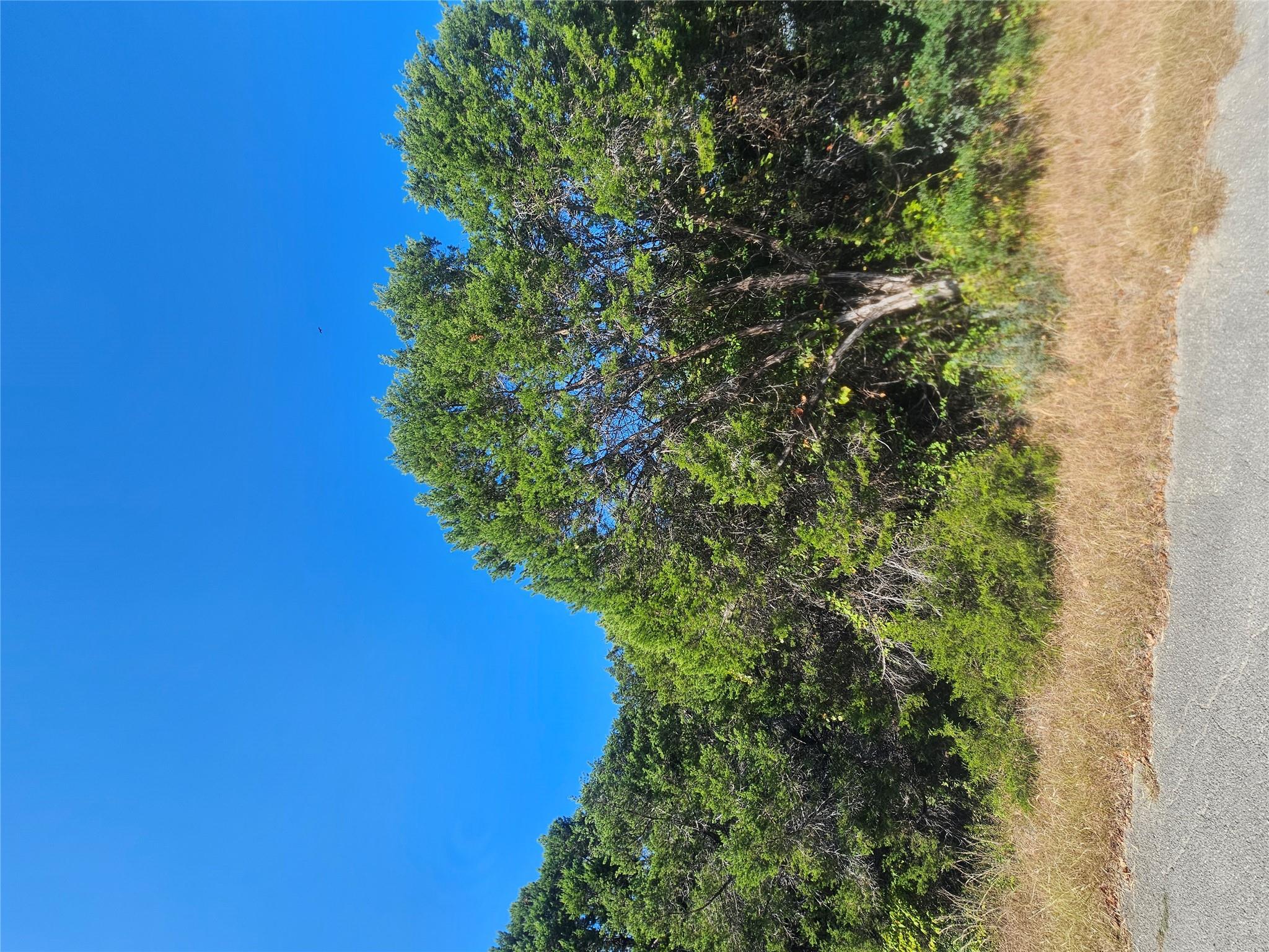 Land in Lago Vista
