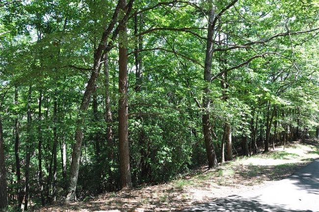 64 Wrens Nest, Home with 0 bedrooms, 0 bathrooms and null parking in Big Canoe GA | Image 10
