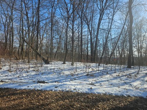 lot-53-9450 Deep Woods Ln, BAGLEY, WI, 53801-8801 | Card Image