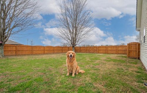 110 Kitty Meyer Ln, Loretto, TN, 38469-2244 | Card Image