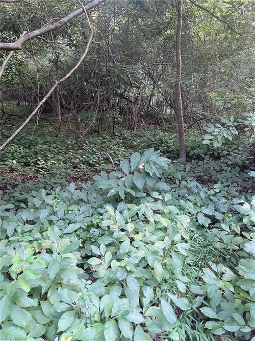 200 Campbell Ln, Newport News, VA, 23602 | Card Image