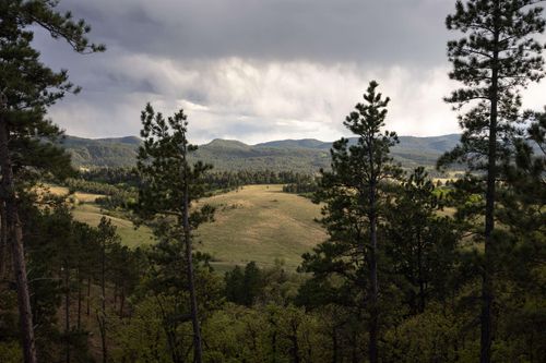 Lot 3 Three Peaks Pass, Whitewood, SD, 57793 | Card Image