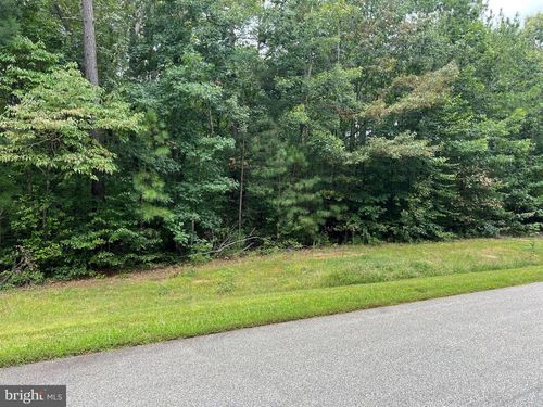 Lot 96 Noahs Landing Dr, Bumpass, VA, 23024-4767 | Card Image