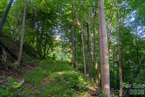 58-00 Ragans Pointe, Columbus, NC, 28722 | Card Image
