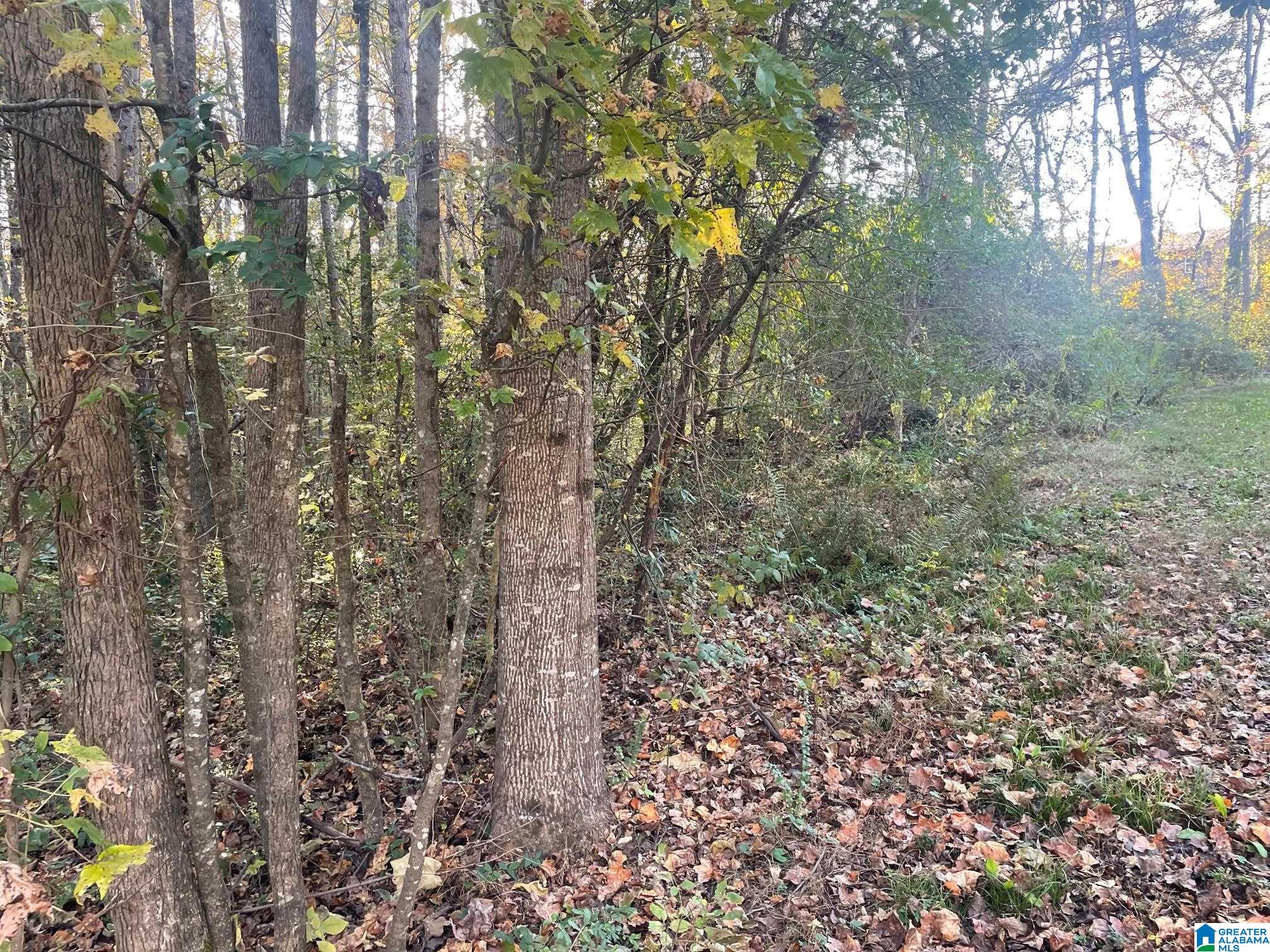 Land in GARDENDALE 4