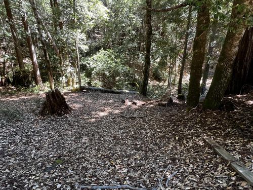 24413 Rose Ter, Willits, CA, 95490-9449 | Card Image