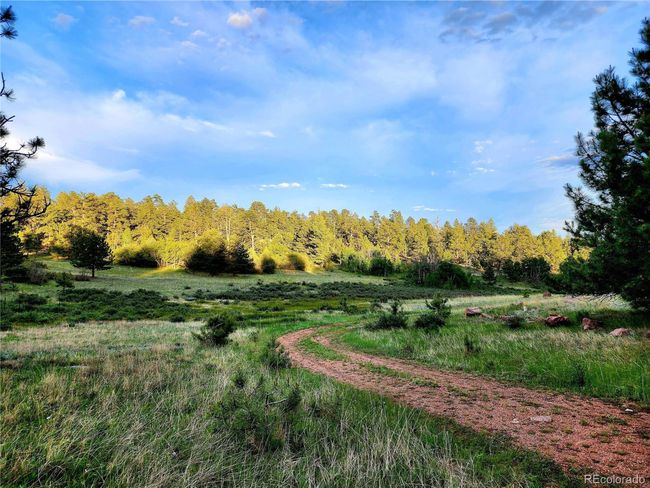 324 Pikeview Ln, House other with 3 bedrooms, 2 bathrooms and null parking in Florissant CO | Image 40