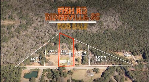 3-1694 Fish Rd, Ridgeville, SC, 29472-7209 | Card Image