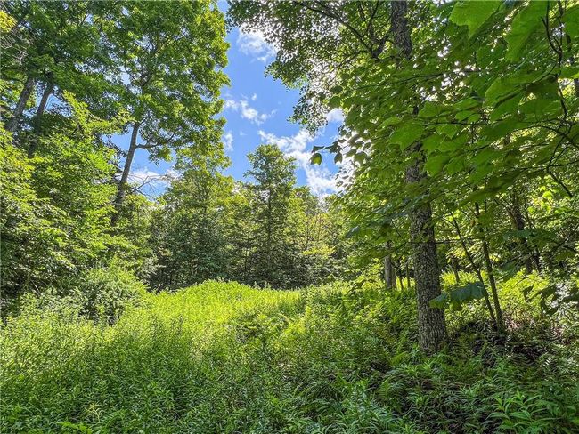 22+ Acres | Image 27