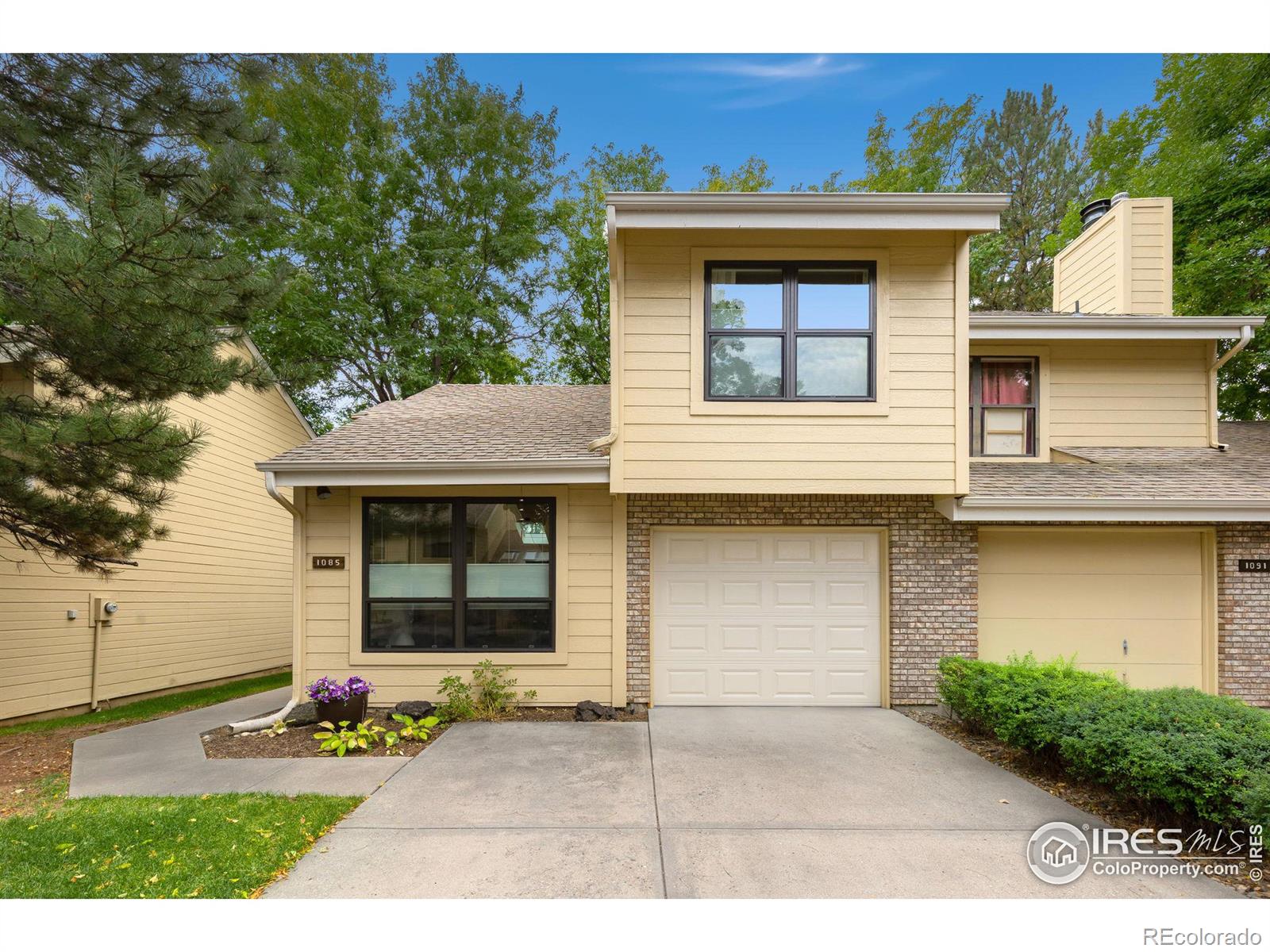 Sundering Dr, Fort Collins, CO 80526