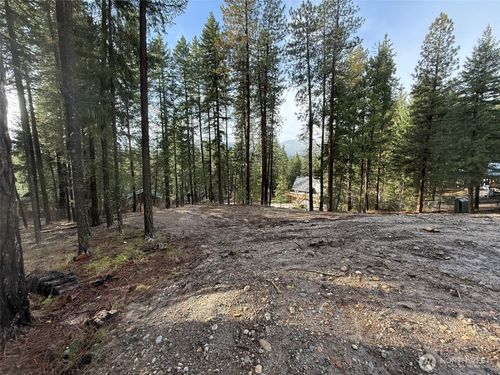 22124 Appaloosa Ln, Leavenworth, WA, 98826-9725 | Card Image