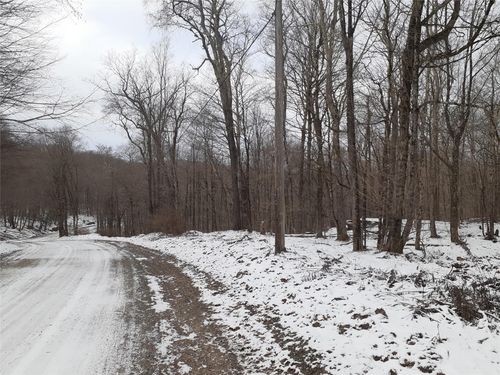 1407 Eminence Rd, East Branch, NY, 13756-2213 | Card Image
