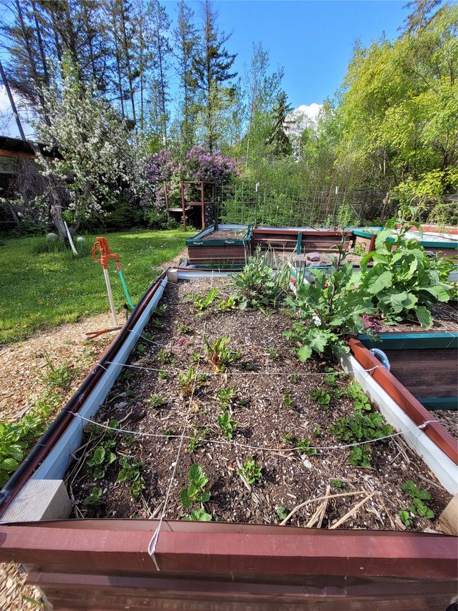 View of grassy yard featuring a​​‌​​​​‌​​‌‌​‌‌​​​‌‌​​‌‌​‌​​​​​‌ garden | Image 108