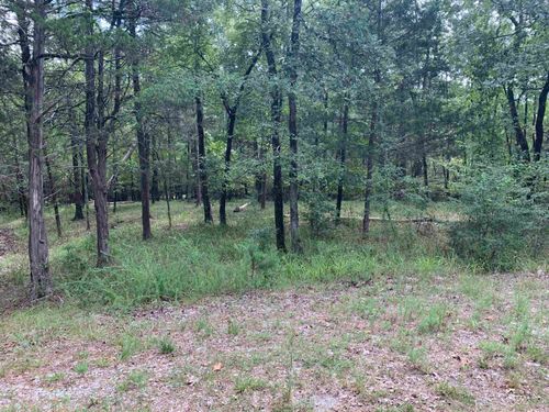 4 Ermalinda Ln, Hot Springs Village, AR, 71909-7740 | Card Image