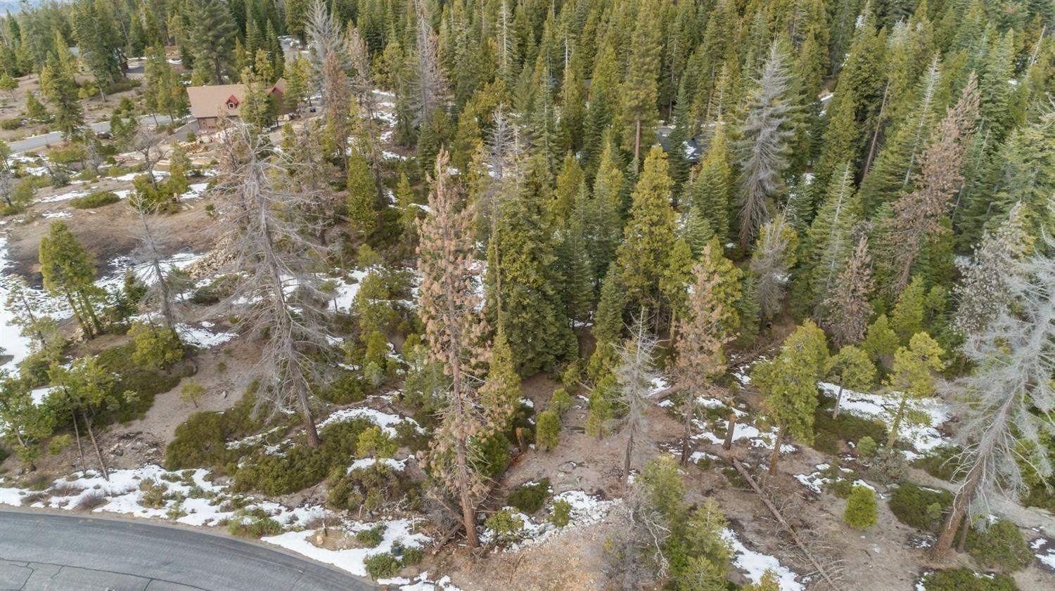 Land in Shaver Lake 2
