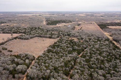 17 Acres - Grassyville Rd, Paige, TX, 78659 | Card Image