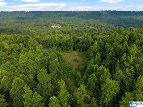 1-Lot #4 Highway 75, Oneonta, AL, 35121 | Card Image