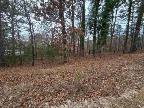 TBD Doubloon Cir, Hot Springs National Park, AR, 71913 | Card Image
