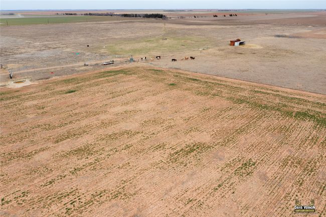 Drone / aerial view with a rural view | Image 31