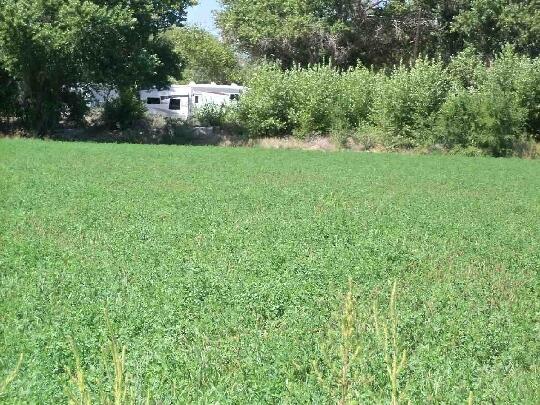 Land in Los Lunas