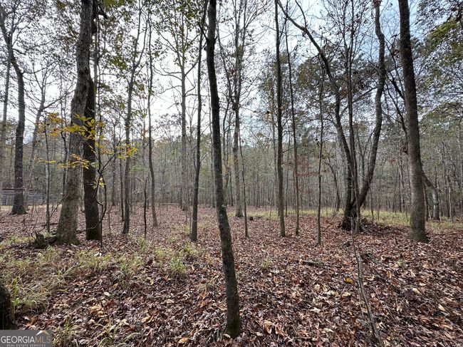 178 Ben Burton Cir, Home with 0 bedrooms, 0 bathrooms and null parking in Bogart GA | Image 11