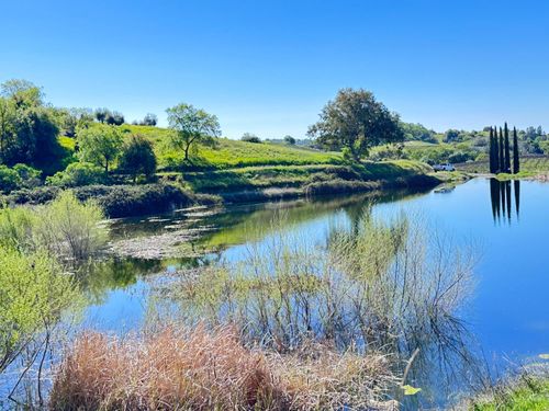 8055 Airolo Rd, Murphys, CA, 95247 | Card Image