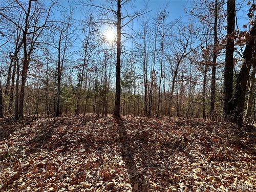 12 County Road 4253, Salem, MO, 65560 | Card Image