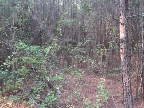 Lot 5-D Mcgregor Cir, Lake City, SC, 29560 | Card Image