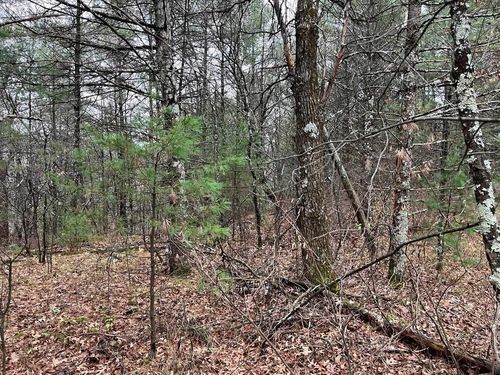 5.3Acres W Trout Valley Road, Big Flats, WI, 54943 | Card Image