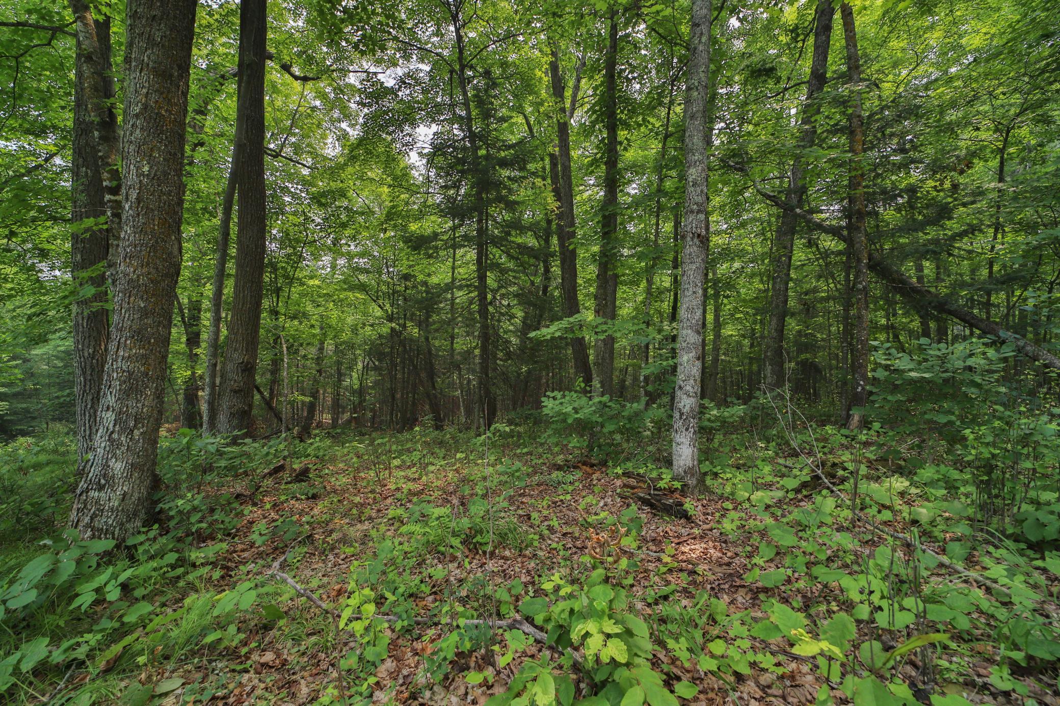 Land in McGregor 2