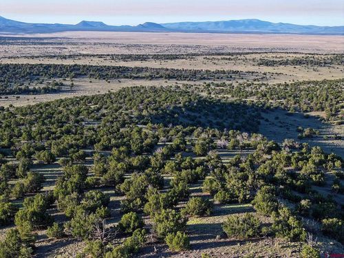 000 Omega Road, Quemado, NM, 87829 | Card Image