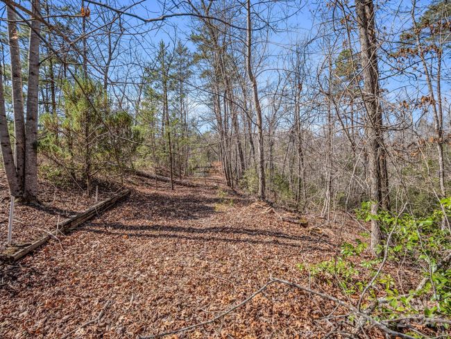 21-24-AND-25 - 000 Forester Ln, Home with 0 bedrooms, 0 bathrooms and null parking in Mill Spring NC | Image 11