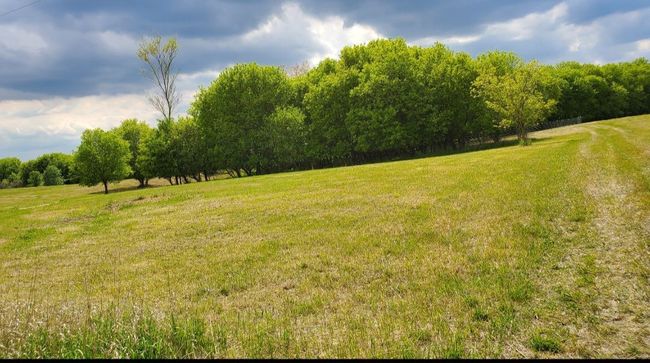 Partially wooded | Image 35