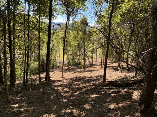 1915 Sedberry Rd, Thompsons Station, TN, 37179-9731 | Card Image