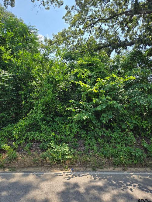 TBD County Road 485, Tyler, TX, 75706 | Card Image