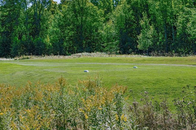 N9240 Hwy 55, Home with 0 bedrooms, 0 bathrooms and null parking in Pickerel WI | Image 30