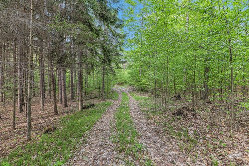 V/L E 8 Mile Rd, Luther, MI, 49656 | Card Image